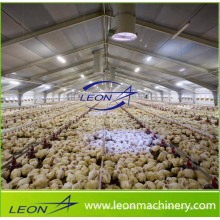 Автоматическая система кормления бройлеров серии Leon Система кормления цыплят